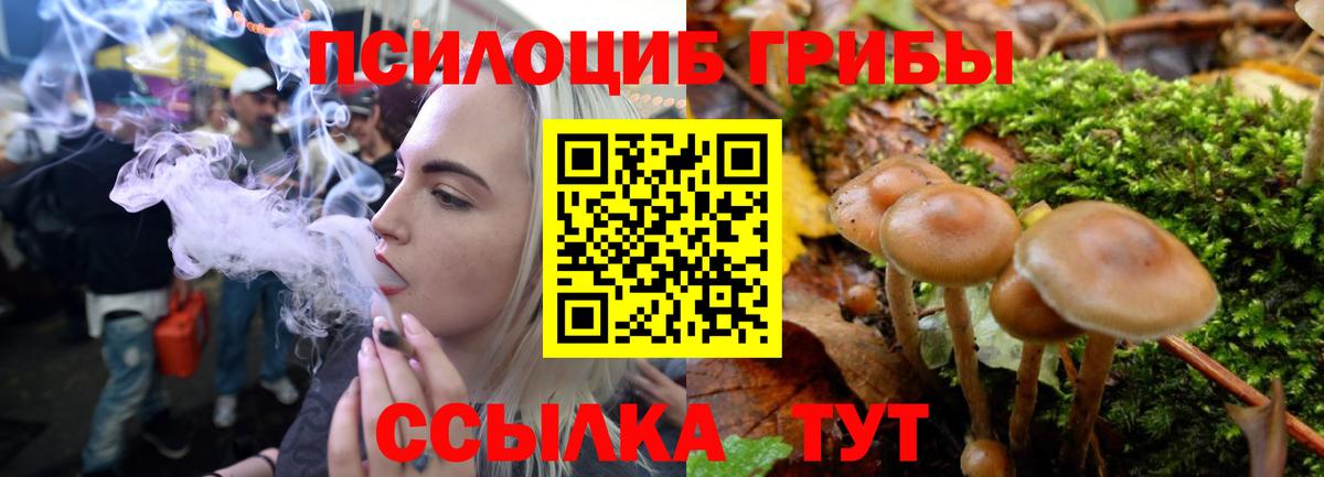 Псилоцибиновые грибы Psilocybine cubensis  Галлюциногенные грибы прущие грибы  Вход с VPN  Камышлов 